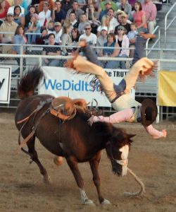 rodeo paard